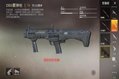 和平精英手枪外挂什么意思（和平精英手枪外挂什么样子）