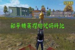 和平精英辅助型道具有哪些（和平精英辅助功能有哪些）