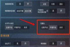 和平精英辅助瞄准怎么回事（和平精英辅助瞄准怎么关闭）